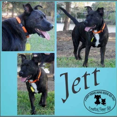 No photo for Jett