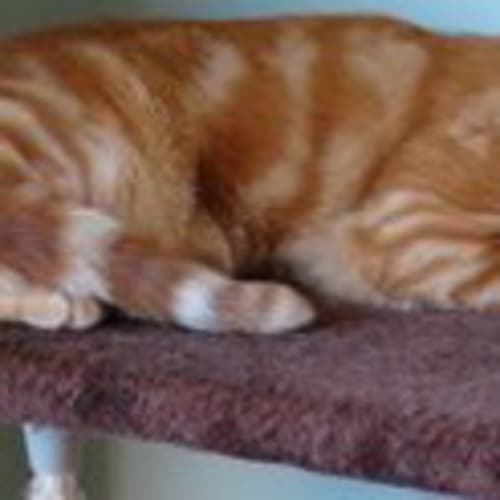 Redcat (E939)
