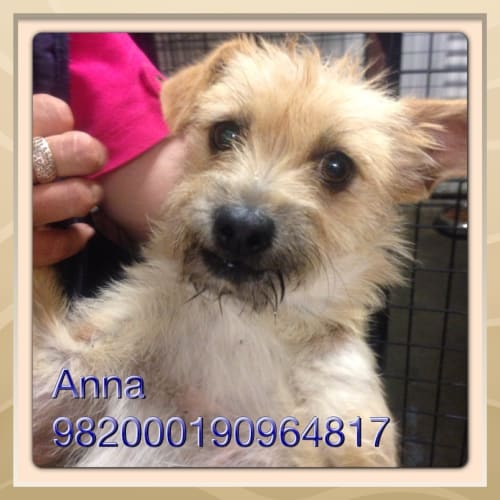 No photo for Anna