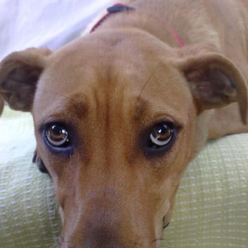 No photo for Roxy
