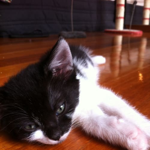 No photo for Minnie