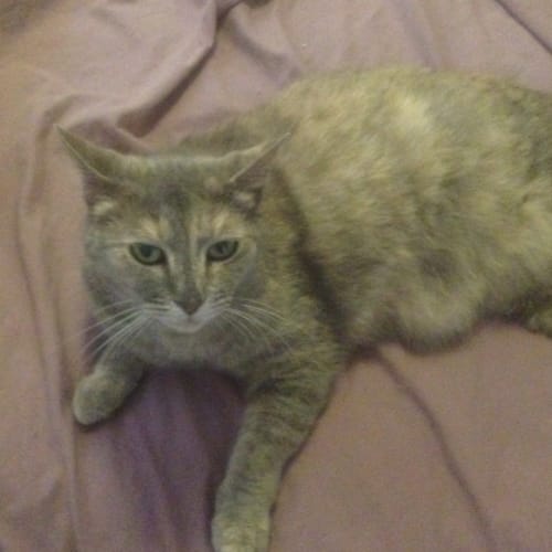 No photo for Sylvie