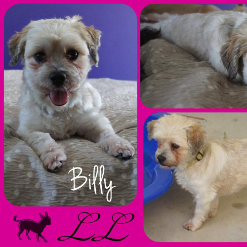 No photo for Billy 