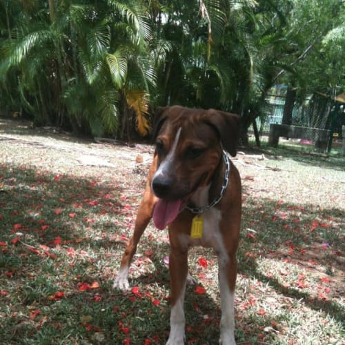 No photo for Jedda