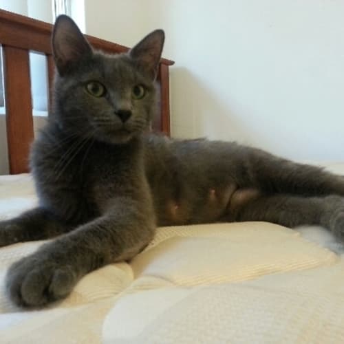 No photo for Niff*On Trial With My New Family*