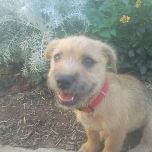 ~Maggie~ deposit taken