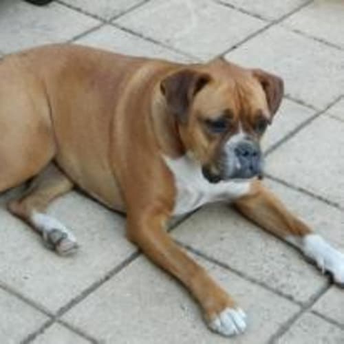 No photo for Roxy