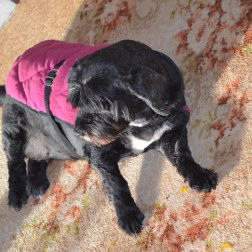 No photo for Molly
