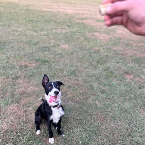 Zoe