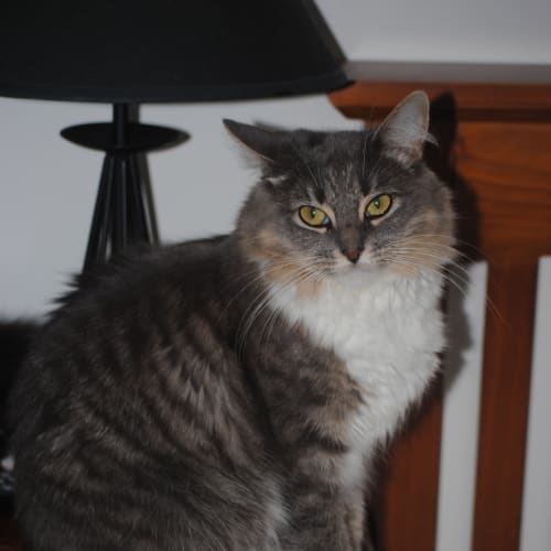 No photo for Jasper