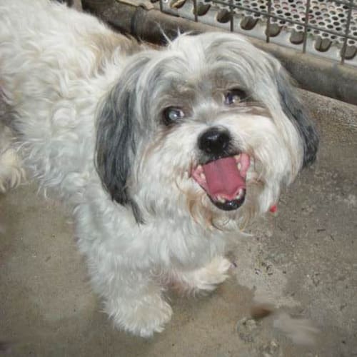 No photo for Sophie Lee & Emily To Be Adopted Together