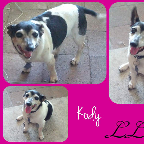 No photo for Kody