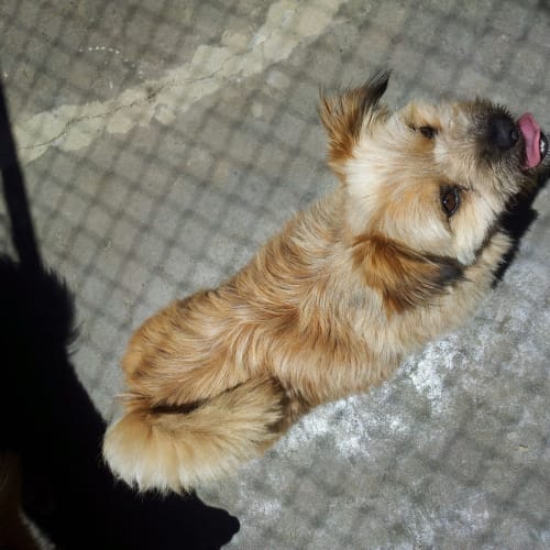 No photo for Olie