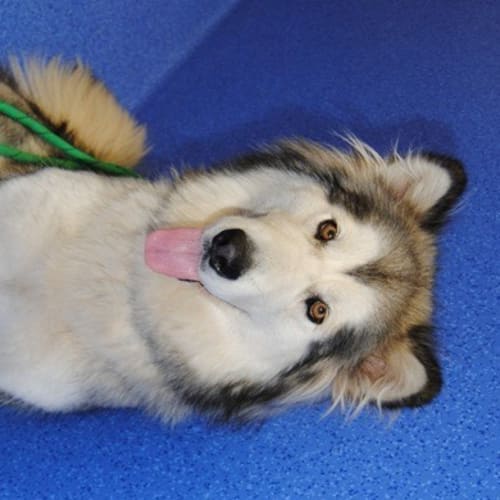 No photo for Kaiya