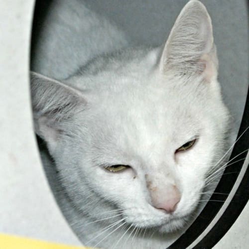 No photo for Missy
