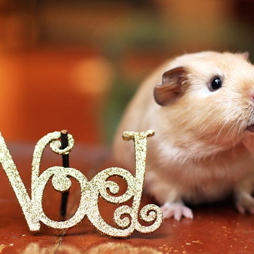 No photo for Noella