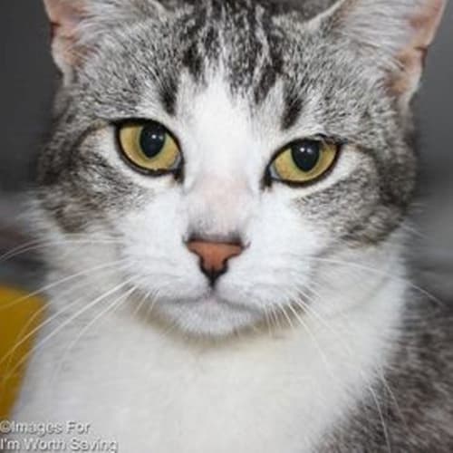 No photo for Matilda