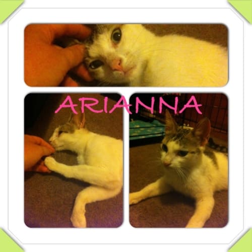 No photo for Arianna. Hc13 030