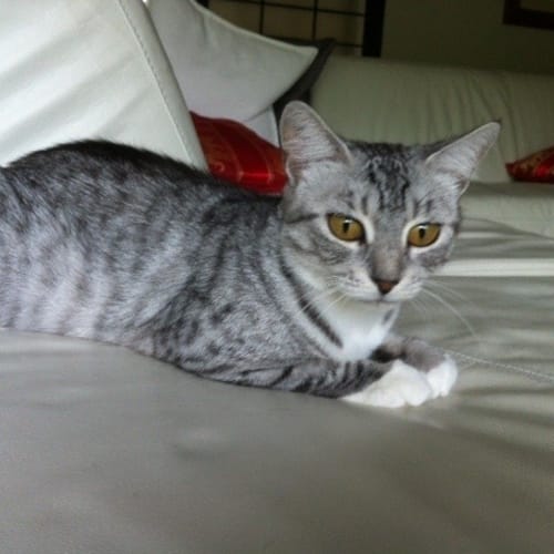 No photo for Minka