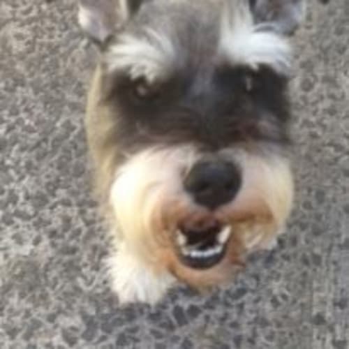 No photo for Kaiser