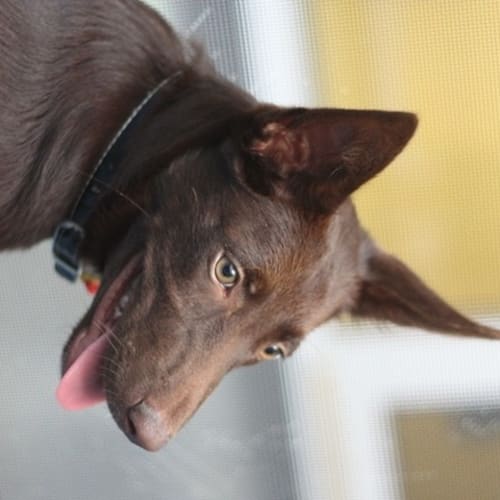 No photo for Aero