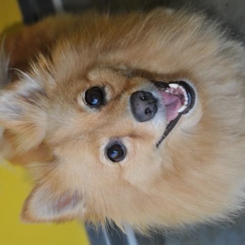 No photo for Sasha