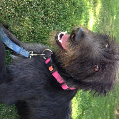 No photo for Inka