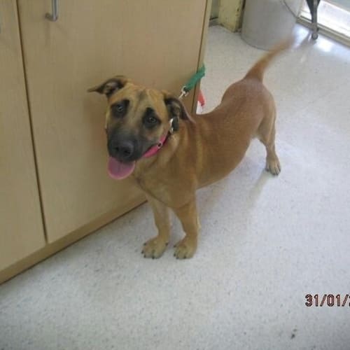 No photo for Misty   **A Divine Sweet Little Soul**
