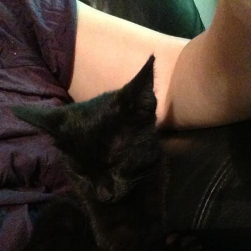 No photo for Levi*On Trial With His New Family*
