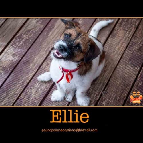 No photo for Ellie Is Trialling Her New Home For 2 Weeks!!
