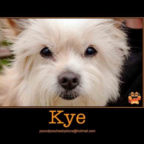 No photo for Kye Is On Trial In His New Home!