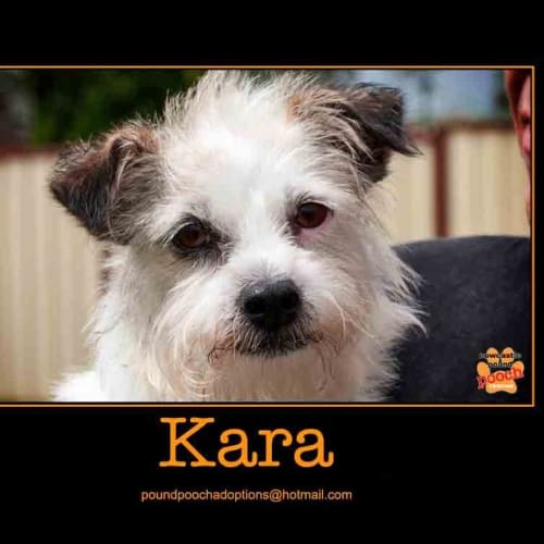 No photo for Kara Is Trialling Her New Home For 2 Weeks!!