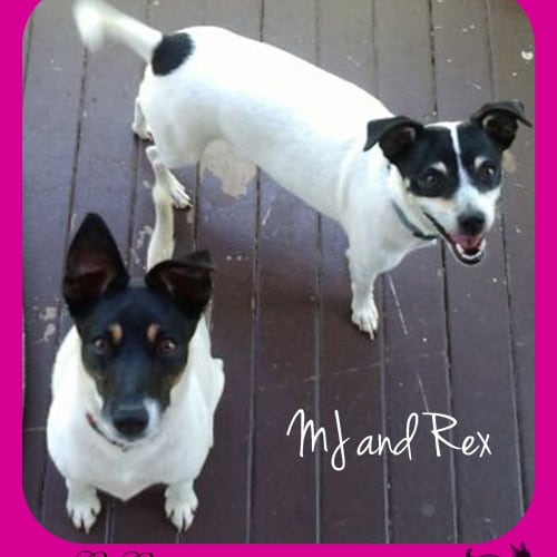 No photo for Mj And Rex 