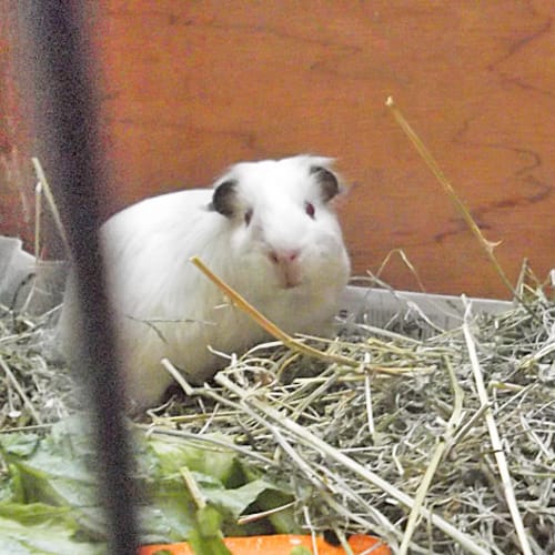 No photo for Olivia And Brandy!