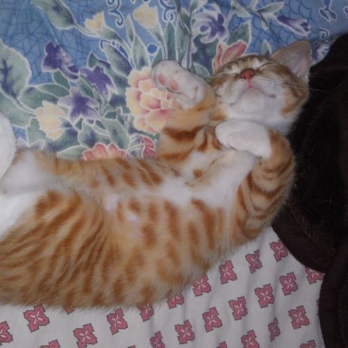 No photo for Eddie*On Trial With My New Family*