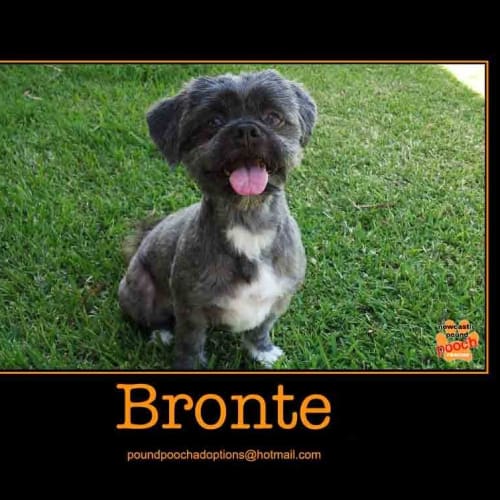 No photo for Bronte Is On Trial In Her New Home!
