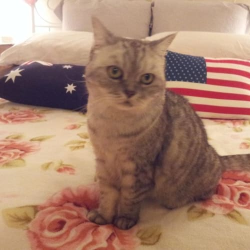 No photo for Luna