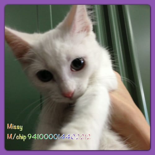 No photo for Missy
