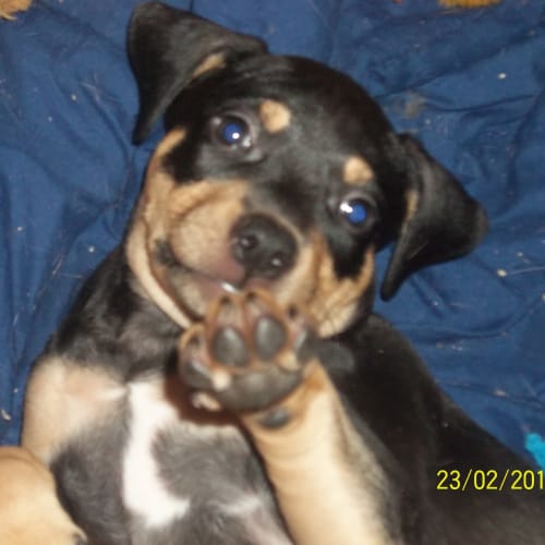 No photo for Matilda