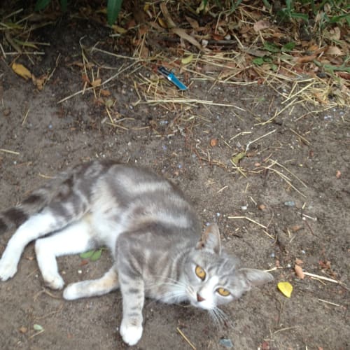 No photo for Misty