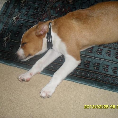 No photo for Bennie