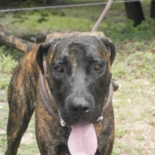 No photo for Jake