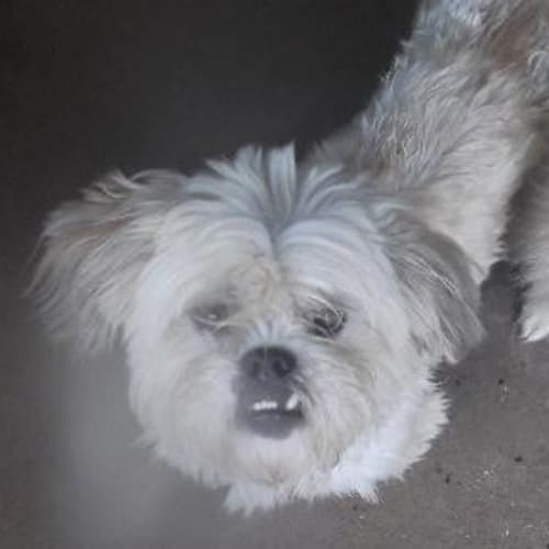 No photo for Wally