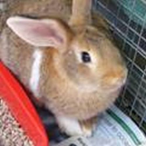 No photo for Peta 755943