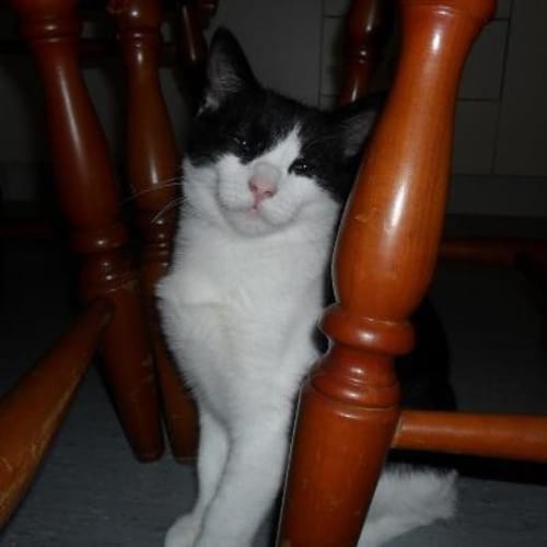 No photo for Marvin