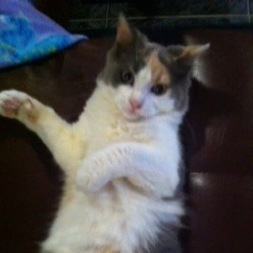 Jenny