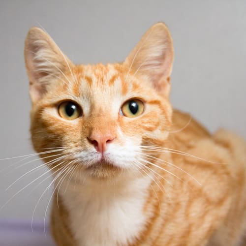No photo for Harry