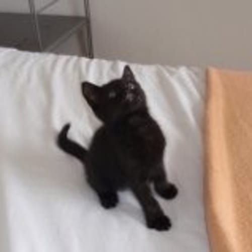 No photo for Freddy