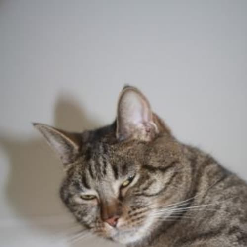No photo for Stryker