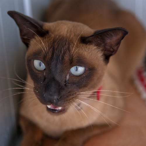 No photo for Charlie Id12740